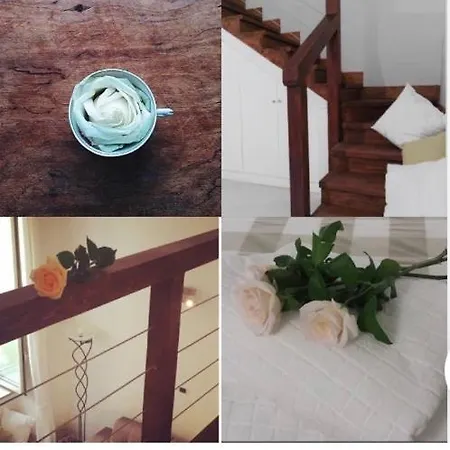 Santi Apostoli House ナポリ